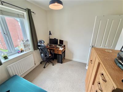 Picture 15